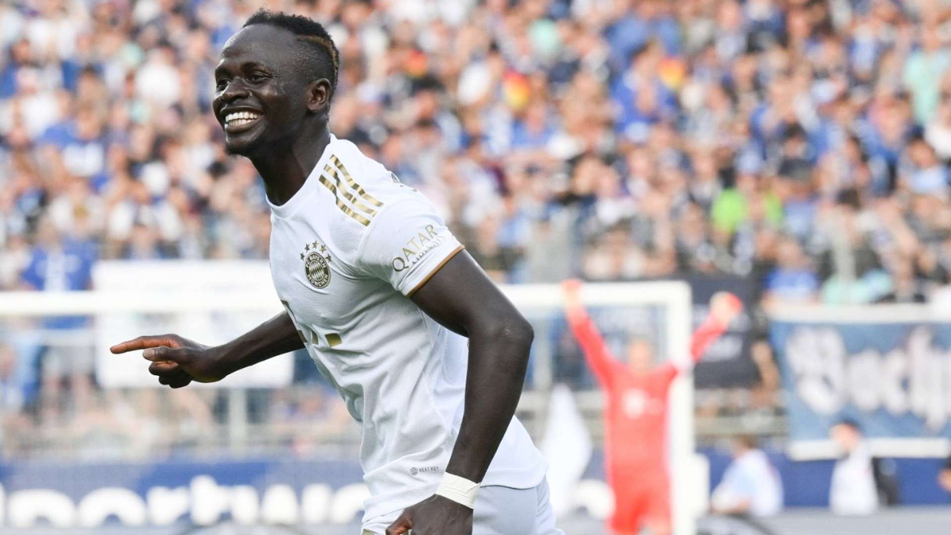 仅改变了比 仅改变了比