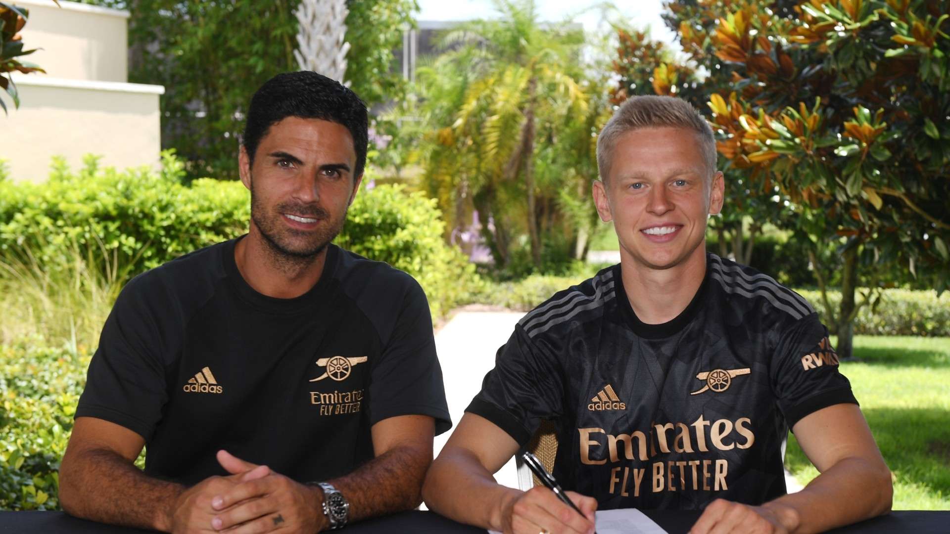 对抗能力的 对抗能力的