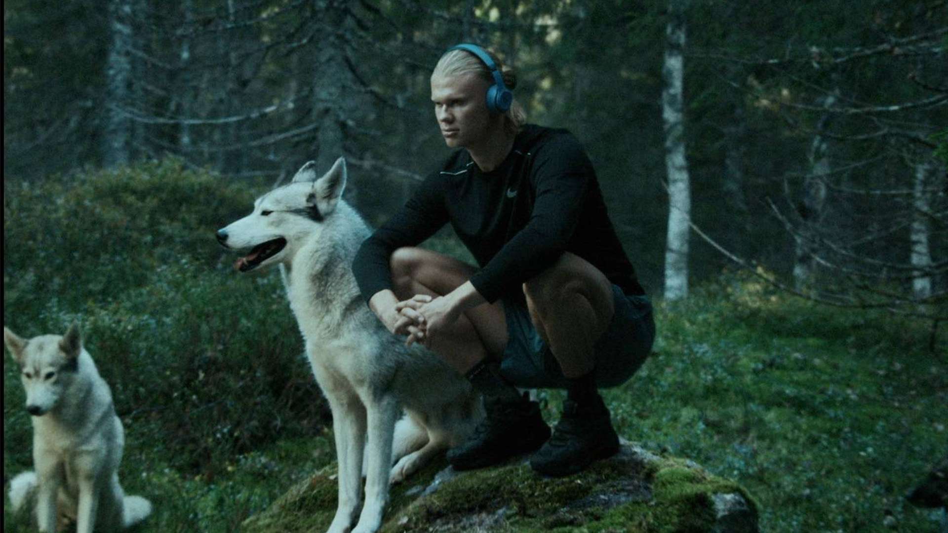 尽管双方的 尽管双方的