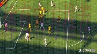 专家：理解维拉为何有意贡萨洛，但我难以想象皇马愿放走他